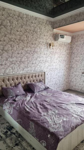 Warmth & Comfort Apartment